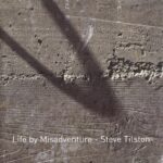 Life By Misadventure (mp3)
